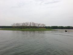 -微山湖红荷湿地景区
