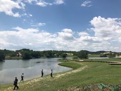 -乌兰布统草原