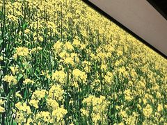 -遇见湘·地道湖南菜(云门店)