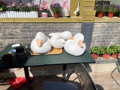 -三忘湖 SWANSEEN(柳荫公园店)