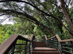 -深圳仙湖植物园
