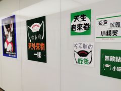 -70cat德文卷毛猫·缅因猫纯种猫舍