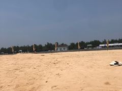 -日照海滨国家森林公园