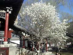 -碑林公园