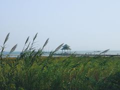 -苏州太湖国际会议中心