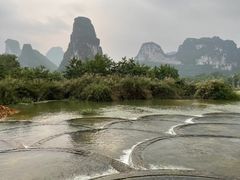 -明仕田园