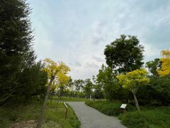 -东郊湿地公园