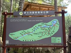 -茅兰沟国家森林公园