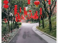-云溪植物园