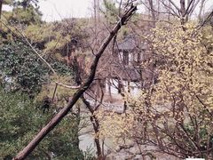-汇龙潭