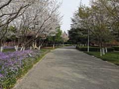 -白塘生态植物园
