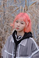 -Hair Code芭曲发型