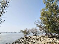 -宝安西湾红树林湿地公园