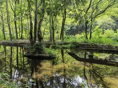 -磐安十八涡风景区