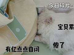 -宠福鑫动物医院(立水桥分院)