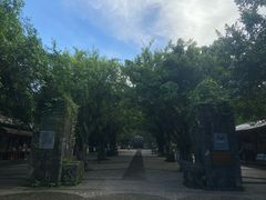 -海口火山口国家地质公园