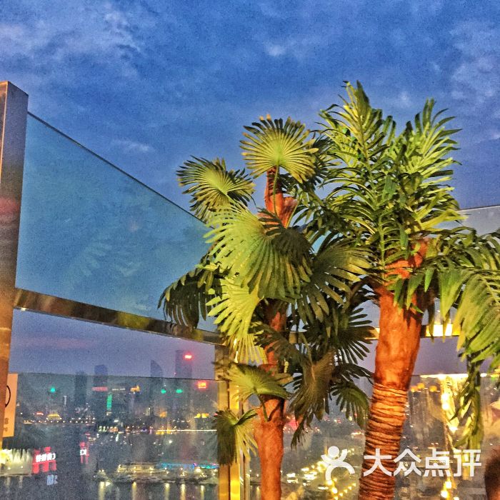 venu 海景酒廊--环境图片-青岛美食-大众点评网