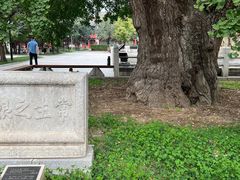-北京石刻艺术博物馆(五塔寺)