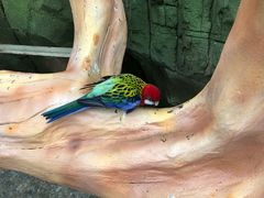 -昆明动物园