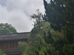 -普陀山风景名胜区-法雨禅寺