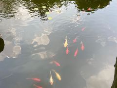 -梅园