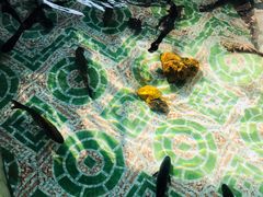 -农家小院土菜馆(斩坑桥店)