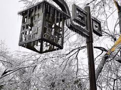 -杭州半山国家森林公园