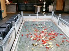 -四季民福烤鸭店(前门店)