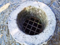 -上海佘山国家森林公园天马山园