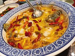 招牌酸菜海鲈鱼-川香鼎盛(市桥富华总店)
