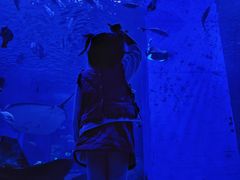 -顺德南宏海立方海洋公园