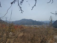 -康陵正德春饼宴26号