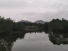 -沙美村