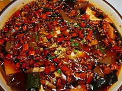 -雲蜀龙阁·金牌水煮鱼(方庄店)