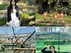 -上海动物园(地铁站)