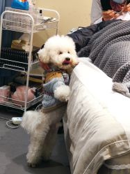 -蜜丝卡伦美甲美睫连锁