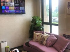 -宠爱国际动物医院·消化内科·心肾内科·ISFM猫友好(望京店)