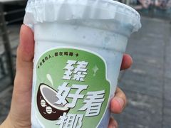 -炖物24章·顺时轻养茶(杭州保利时光里店)