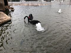 -南京圣和府邸豪华精选酒店