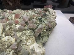 -湖南省地质博物馆