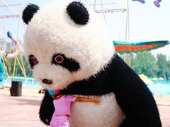 -欢乐水魔方水世界
