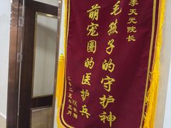 -宠爱国际动物医院·消化内科·心肾内科·ISFM猫友好(望京店)