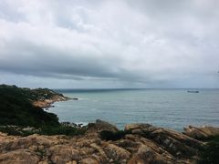 -广东惠东海龟国家级自然保护区