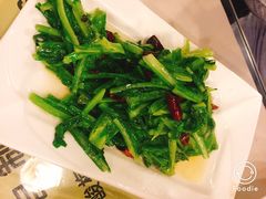 -忠义小酒馆(田东店)