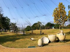 -鄱阳湖国家湿地公园