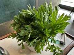 -百年果林椰子鸡(中洲店)