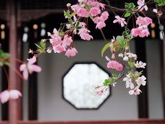 -莫愁湖公园