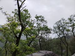 -泰山风景名胜区