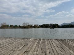 -三垟湿地