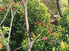 -广州白江湖森林公园